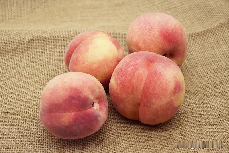 吃桃子削皮吗？这事儿还真没个准头。桃子皮有不少营养，像纤维素、维生素啥的，还能促