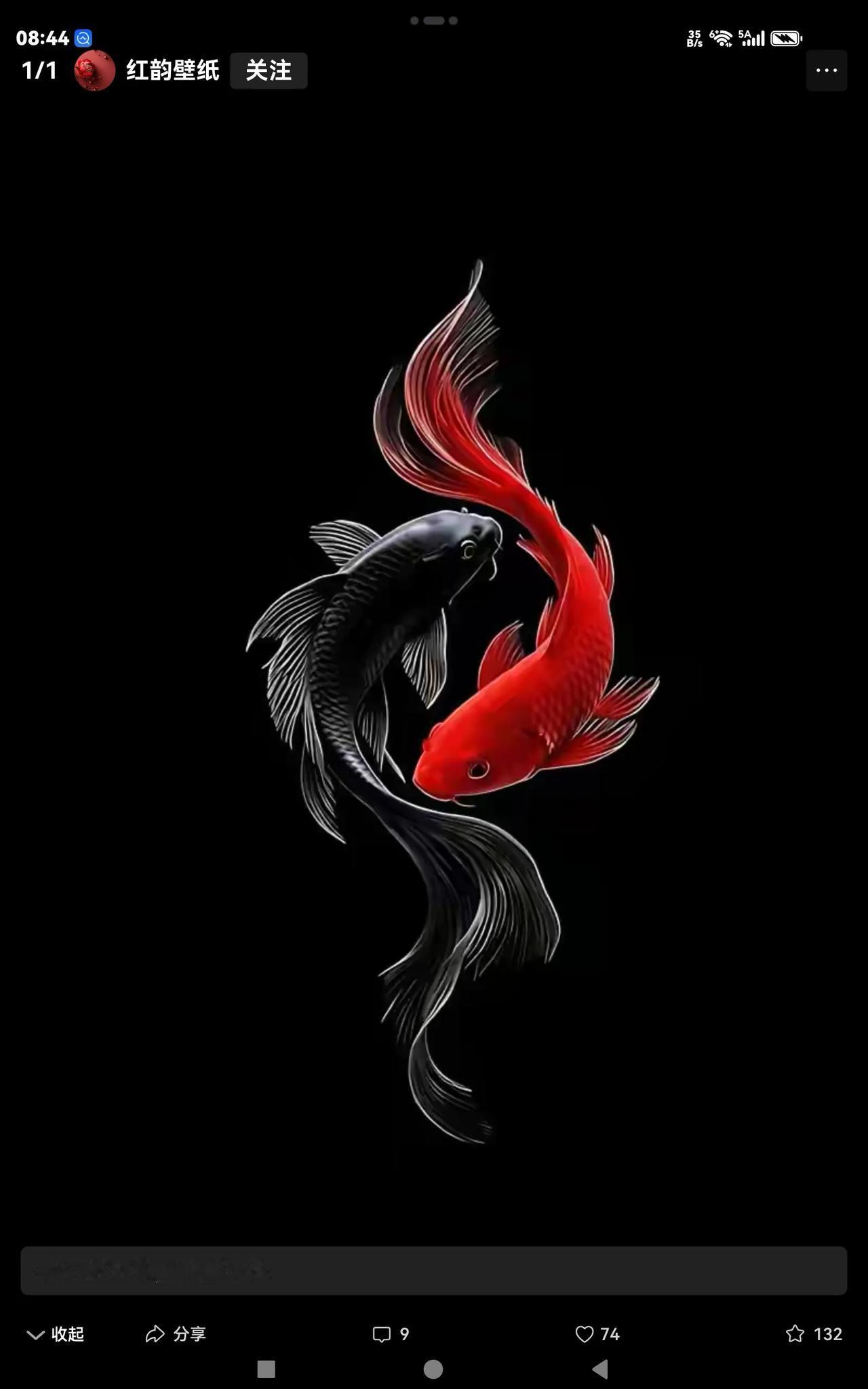 【小品诗:笔桅笺帆】
峰欲醒，
醺巅尚且懵懂，
恍惚云瑶半山亭，
清华玉露，
今