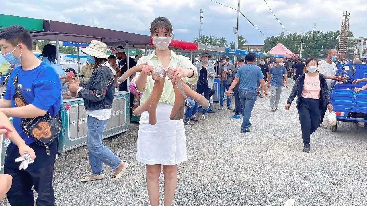 长春鹿茸早市，卖鹿茸像卖白菜一样人山人海，20多斤一只卖多少钱养生酒 补肾吃什么