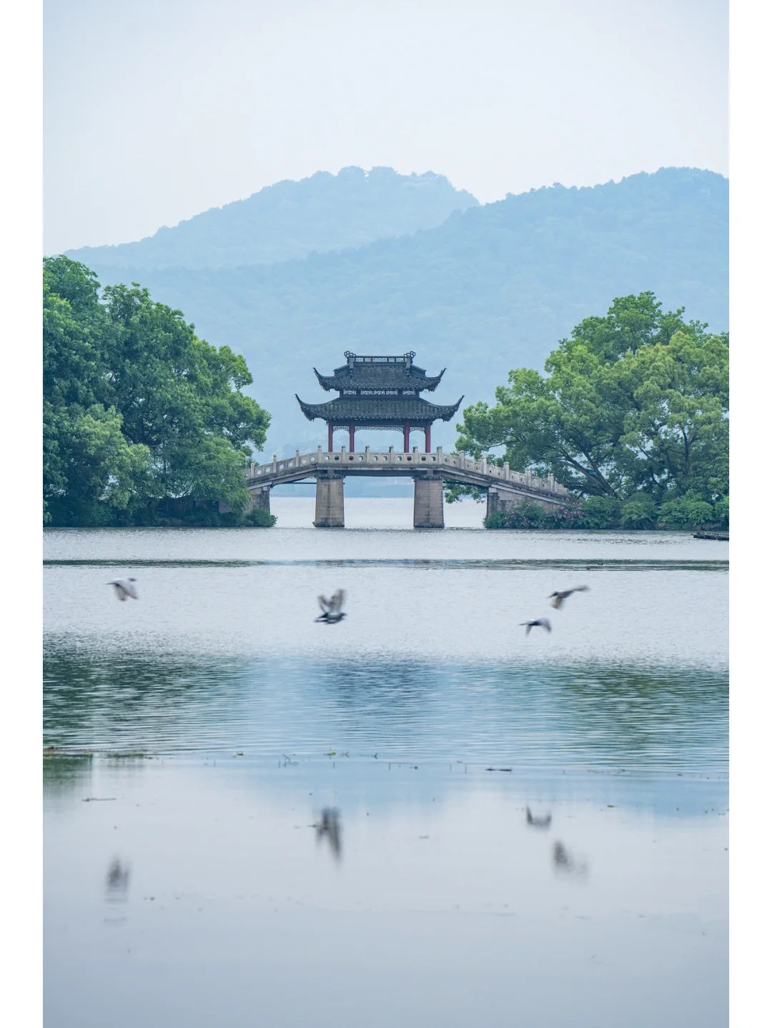 立夏｜总要来西湖边吹吹初夏的晚风吧