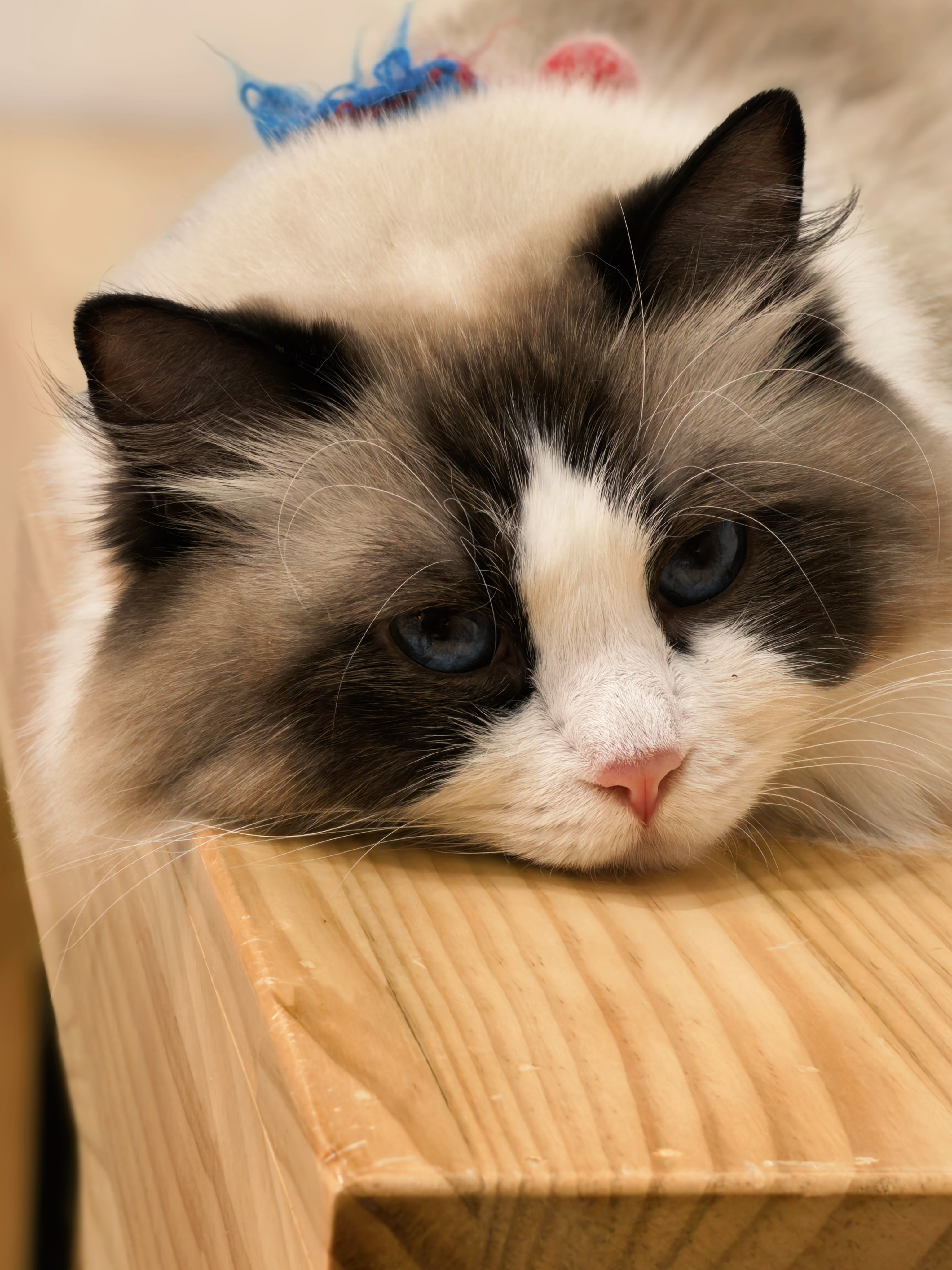 早～ 打卡打卡！ 