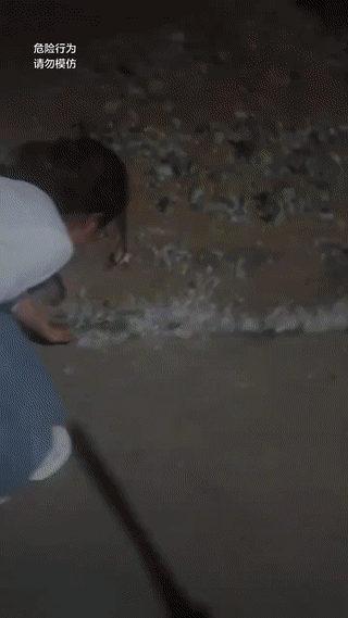 这对男女可真是个人才？
竟然故意用打火机点燃地上的杨树毛絮？
结果险些酿成大祸！