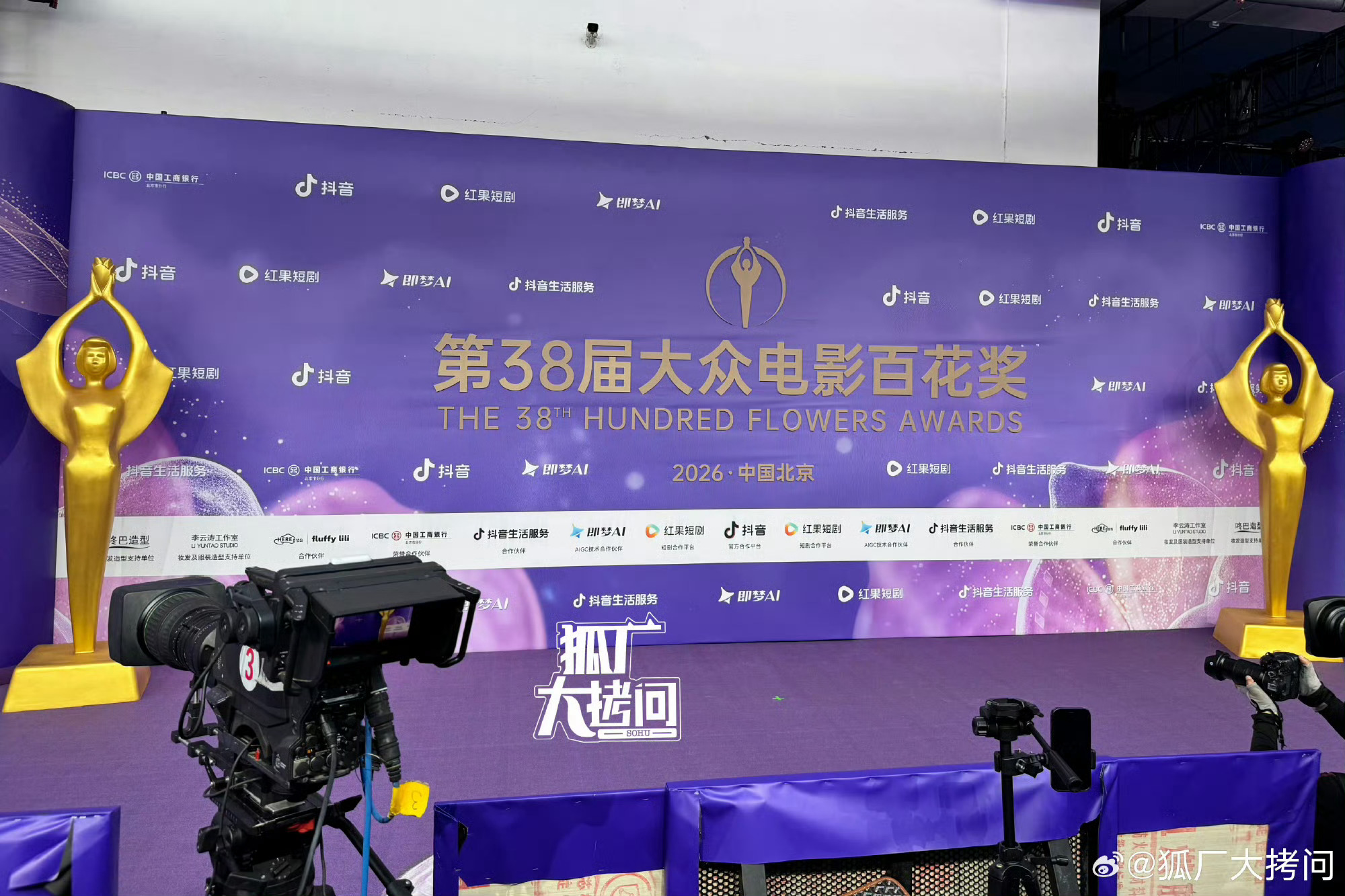 紫毯我喜欢