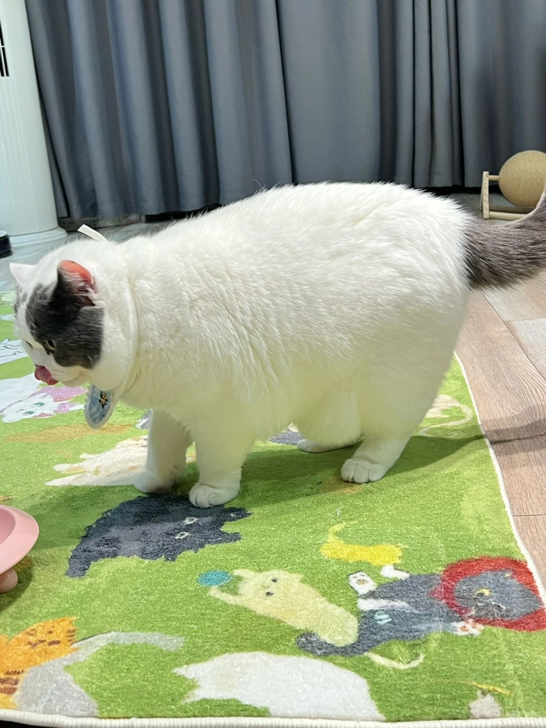 原来叮当猫真的有魔法口袋呀！