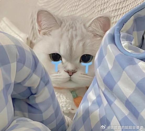 伊朗发射带1吨重弹头导弹打以色列今天最悲情的故事是不接受中国人民的捐款。中国人眼