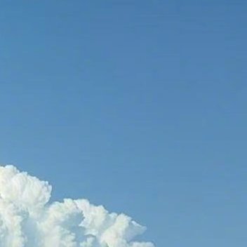 每日一善每日一善 阳光信用 还我椰椰卷 0000 善良是一种智慧，是一种远见，是