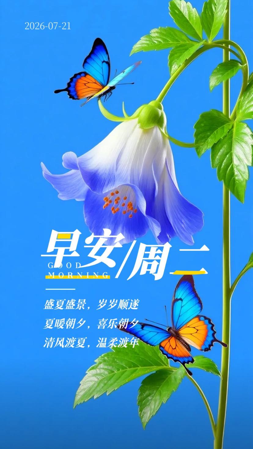 夏晨问安，溽暑晨光温柔蔓延，拂晓清风送来沁人凉意。
2026./07.21.
[
