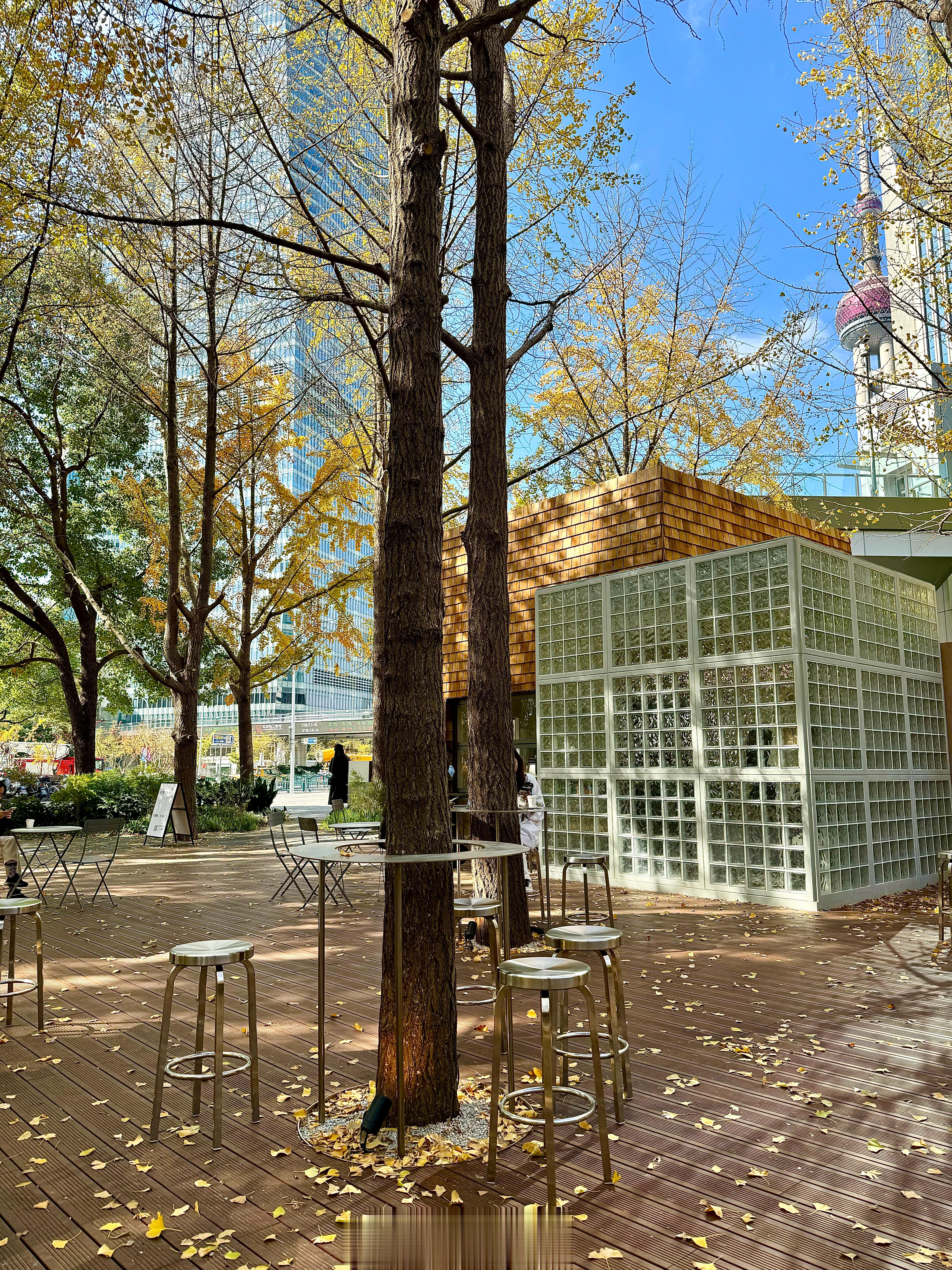 今儿是不上班的周五🍻和好搭档固定约会骑车看银杏喝咖啡🚴🍂☕️ ​​​