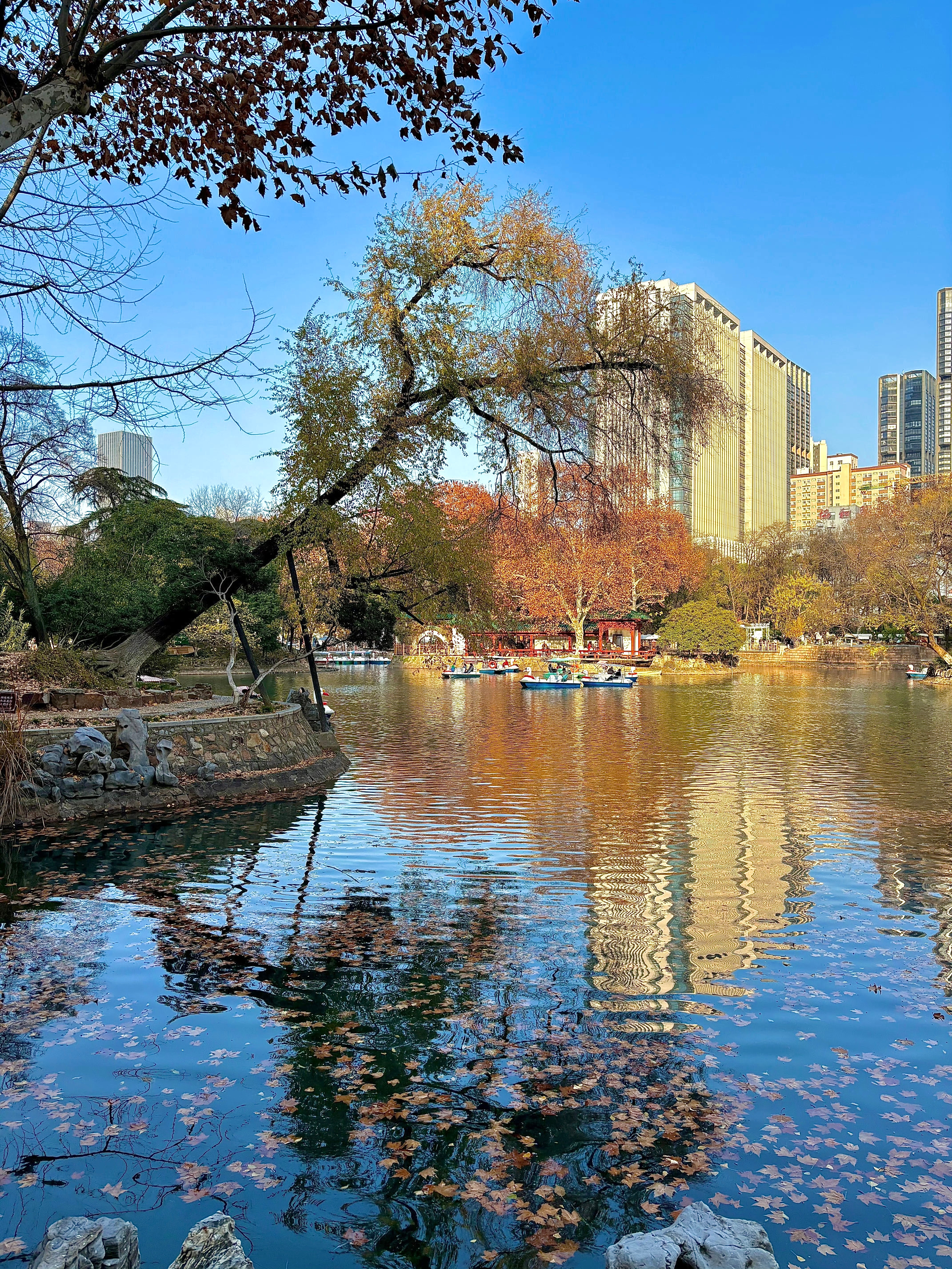 🍂日常 武汉