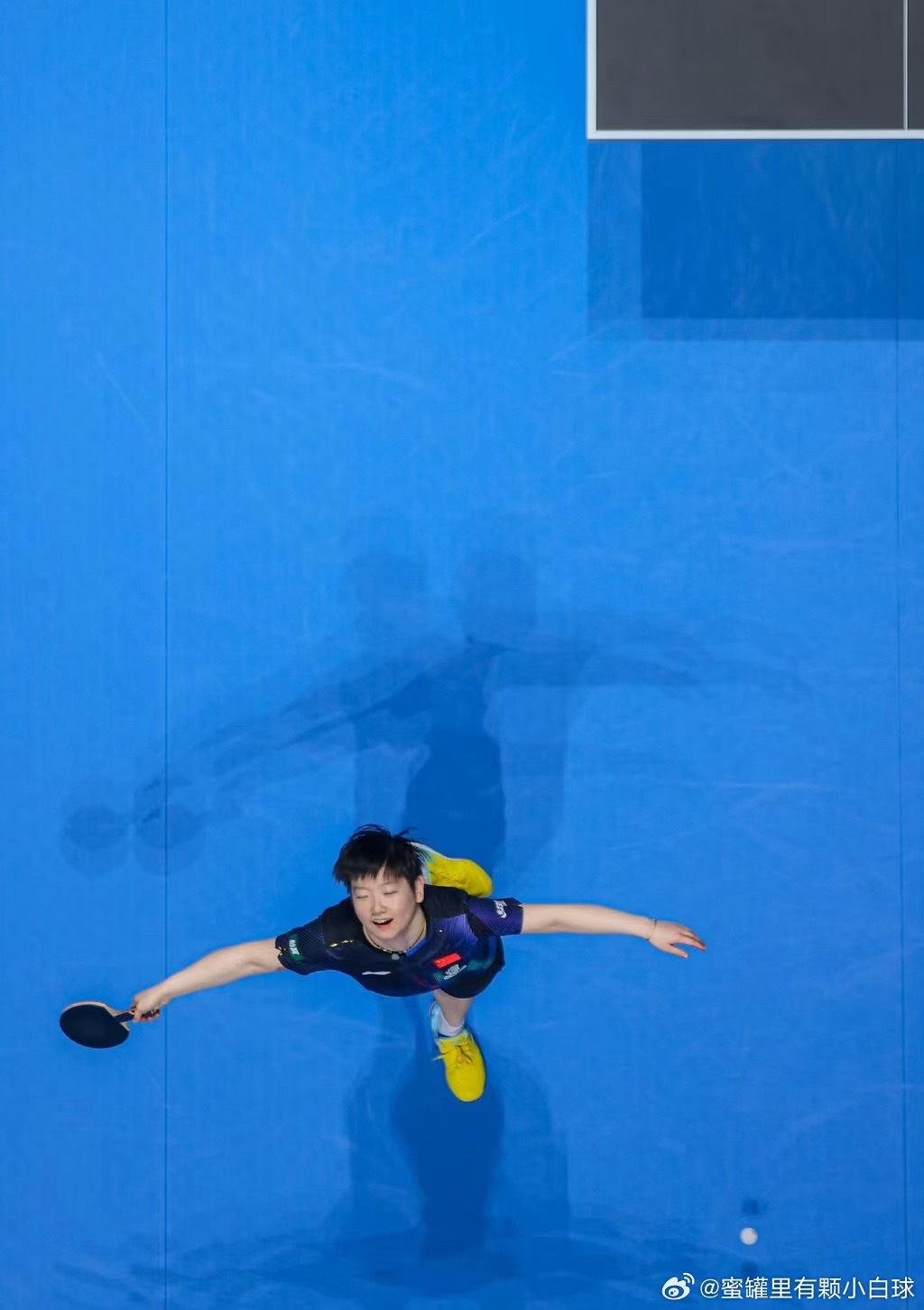 王楚钦孙颖莎铁打的世一世一配平图