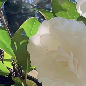 生活真的不会因为你哭泣而对你温柔，但你可以通过努力而活的风情万种。早安!其实，没