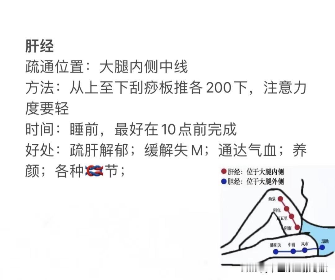 一篇文章讲懂腿部肝、胆、脾、胃经络养生刮痧正确手法

腿上有肝胆脾胃等多条重要经