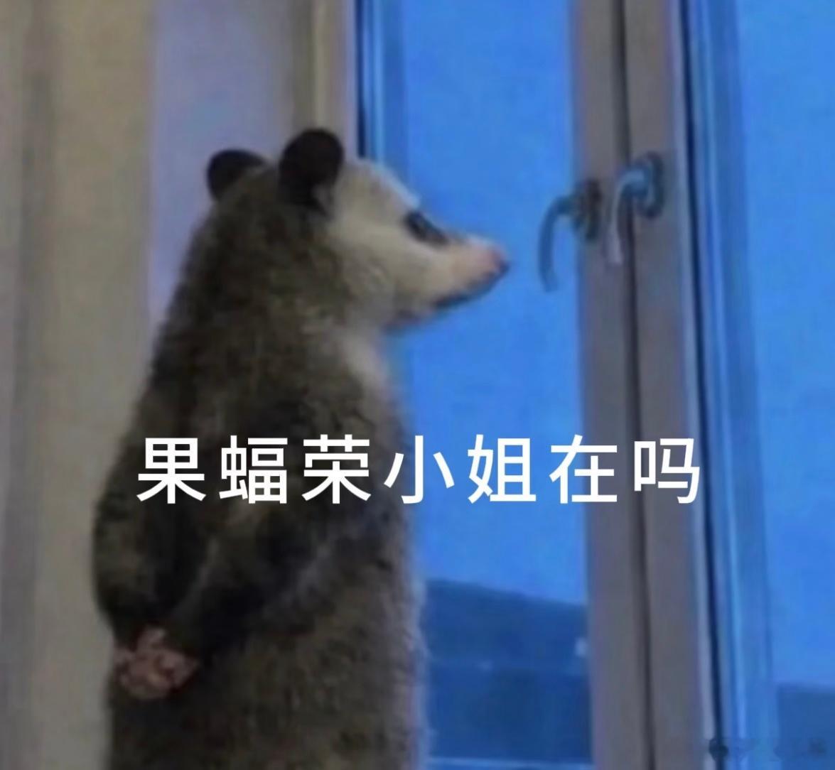 虞书欣父亲民间借贷纠纷最新进展烤串店那个祸不及家人，怎么说？虞书欣就可以祸及了？