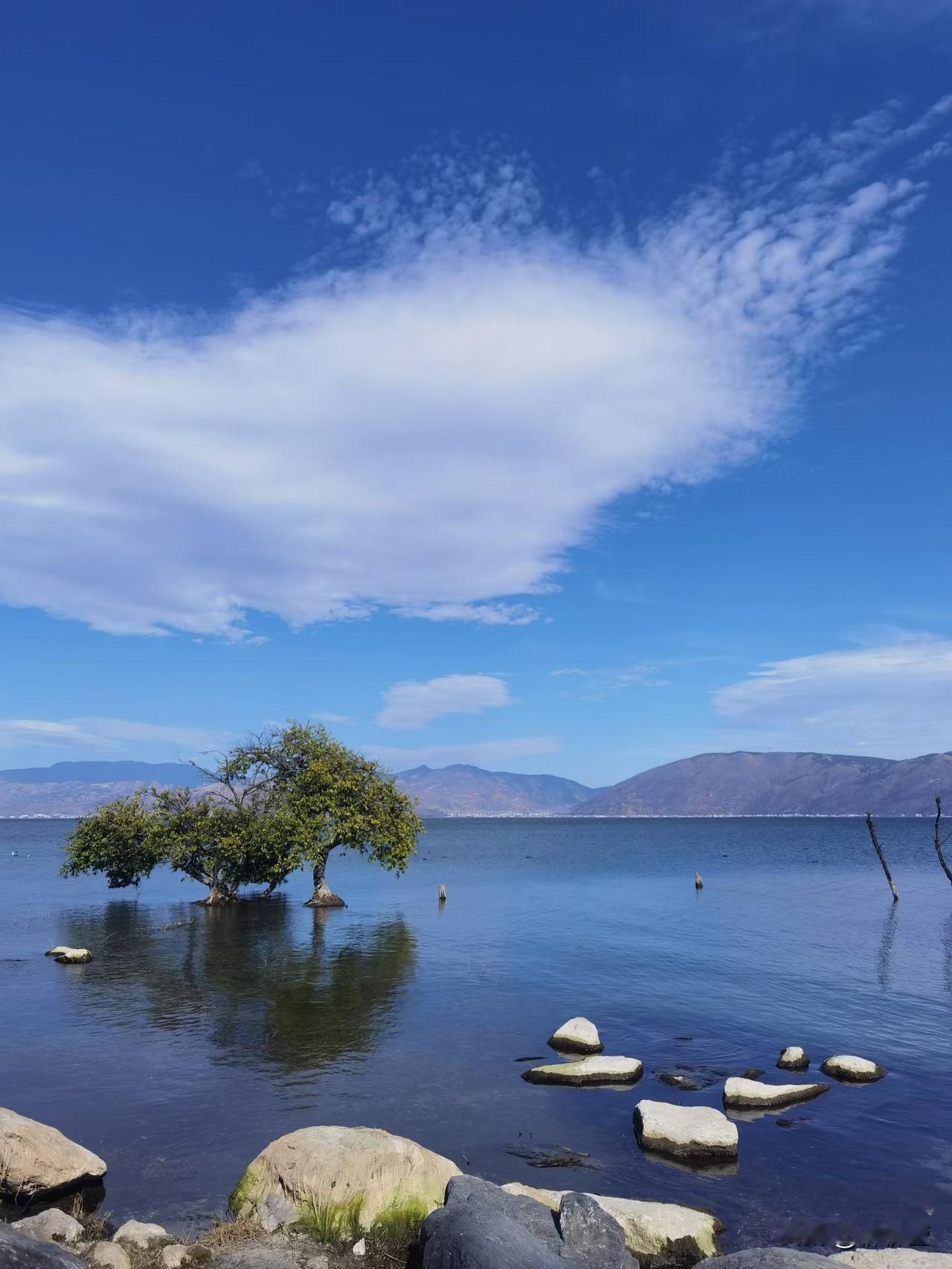 倒春寒正在肆虐，病毒细菌繁殖快，抵抗力差的人爱生病，推荐餐桌上的三种青霉素，谁吃