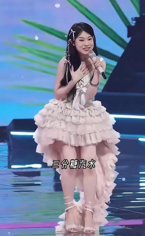 逆袭成长
5月31日沈阳奥体中心，小沈阳演唱会上18岁的沈佳润惊喜登台。从儿时因