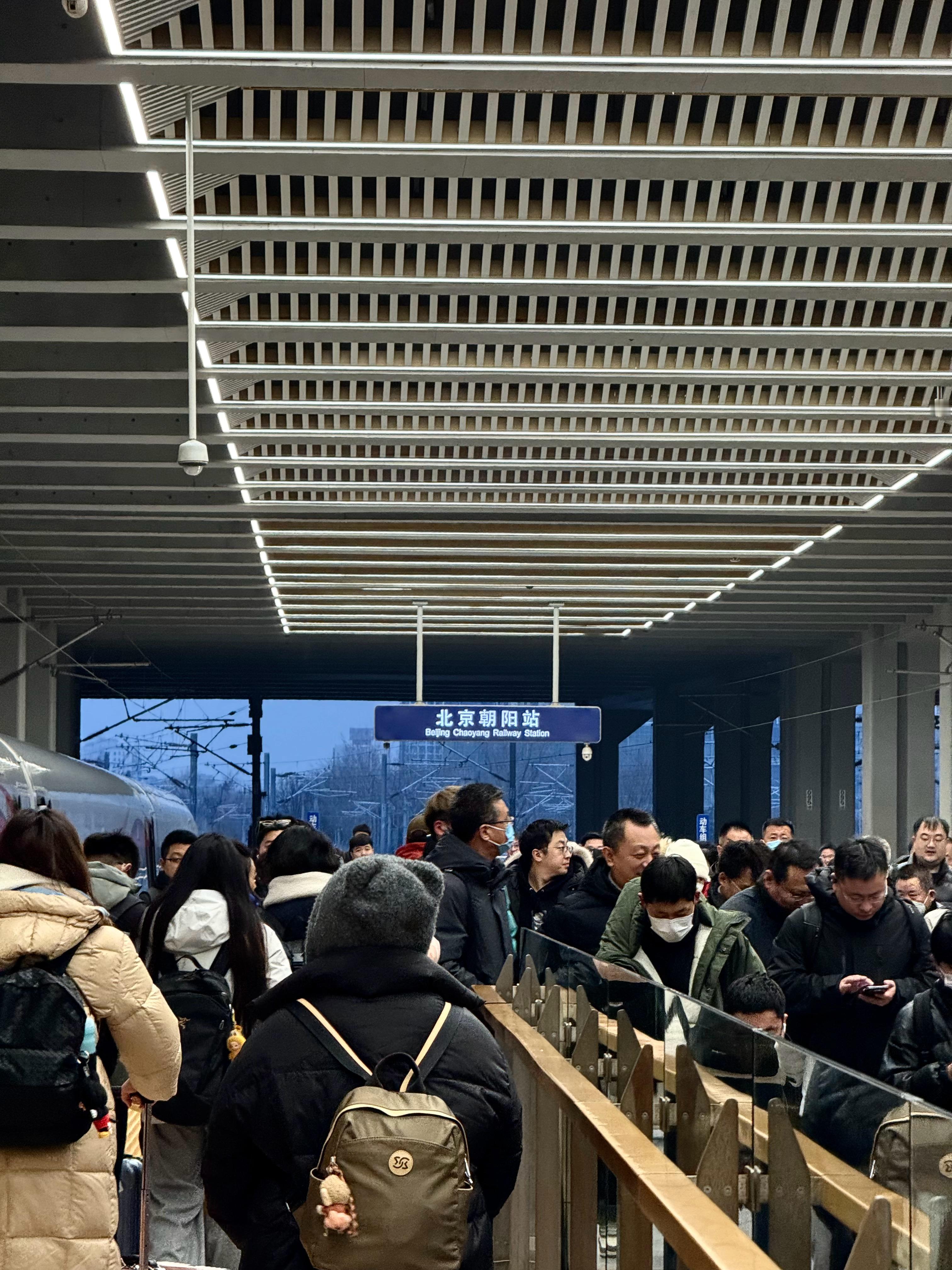 2025最后一征！辽宁男篮