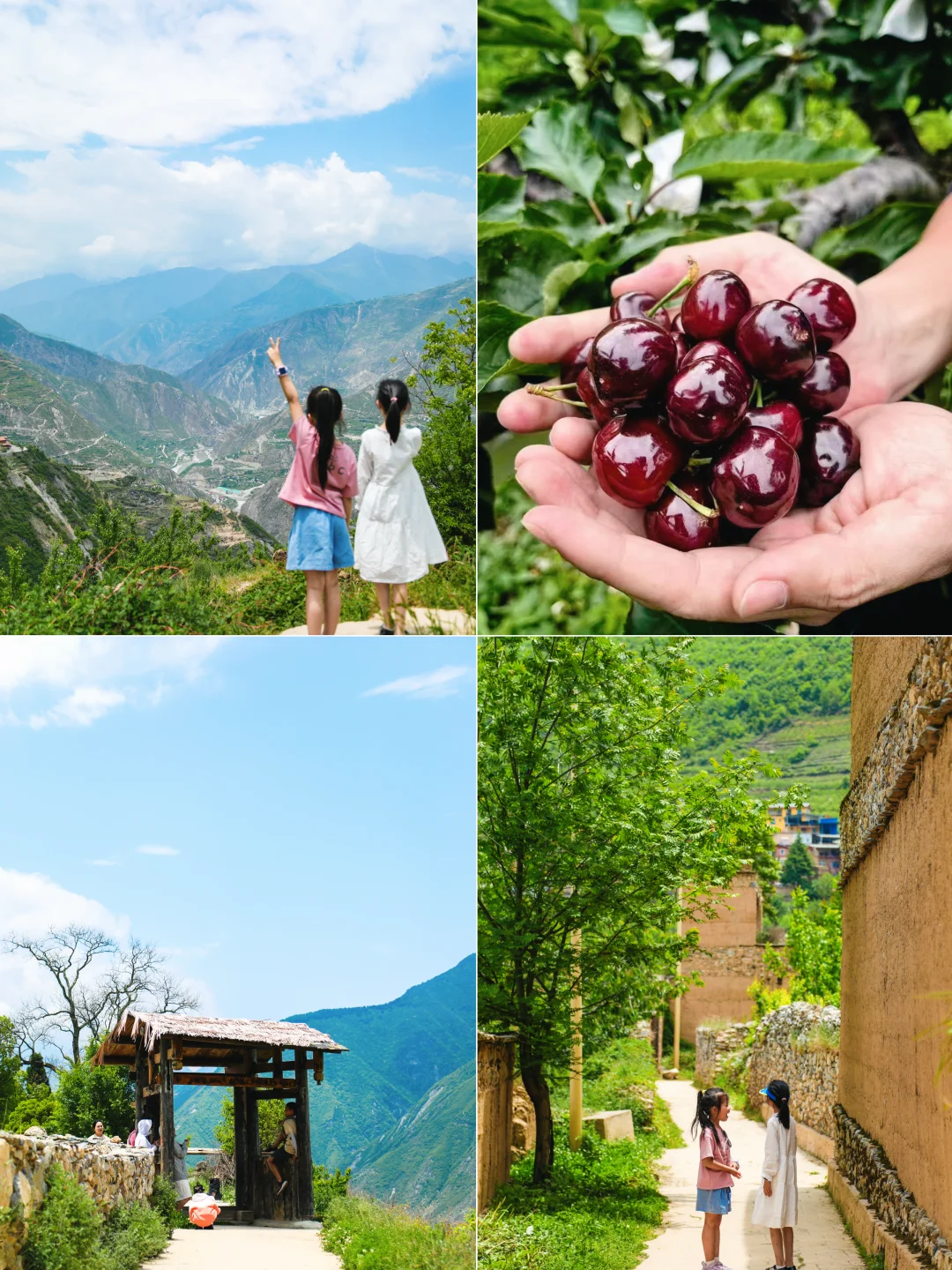 冷门寨子 | 实现🍒车厘子自由的云端秘境！