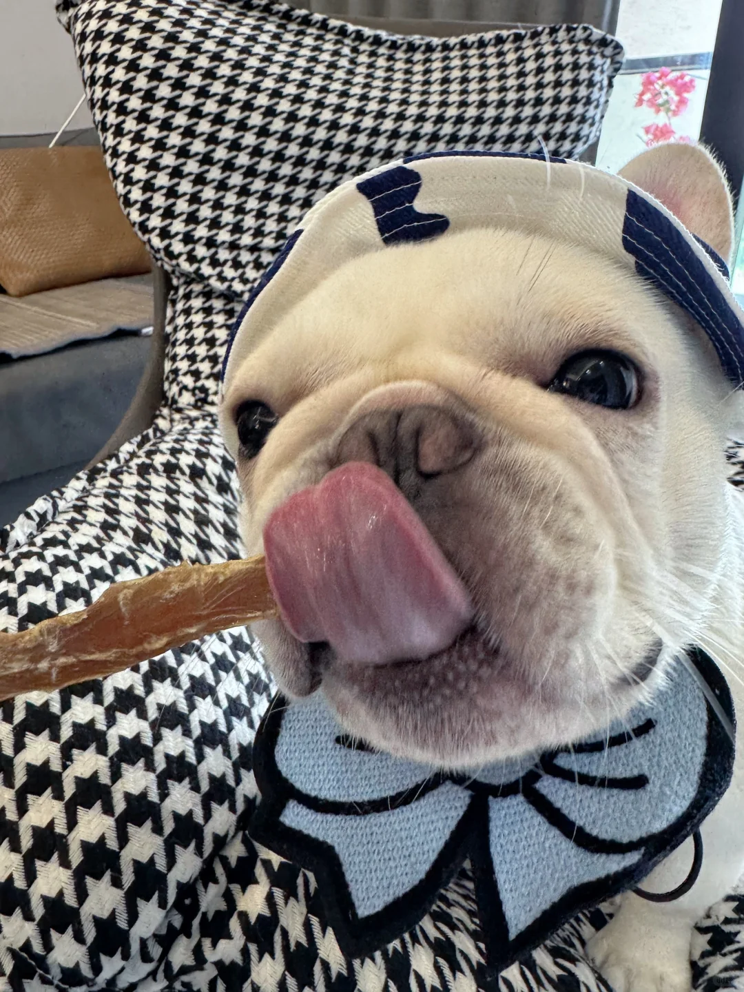 秋天的第一根小肉干自己跑到了我的嘴巴里