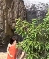 张艺凡陈立农路透  张艺凡陈立农路透 