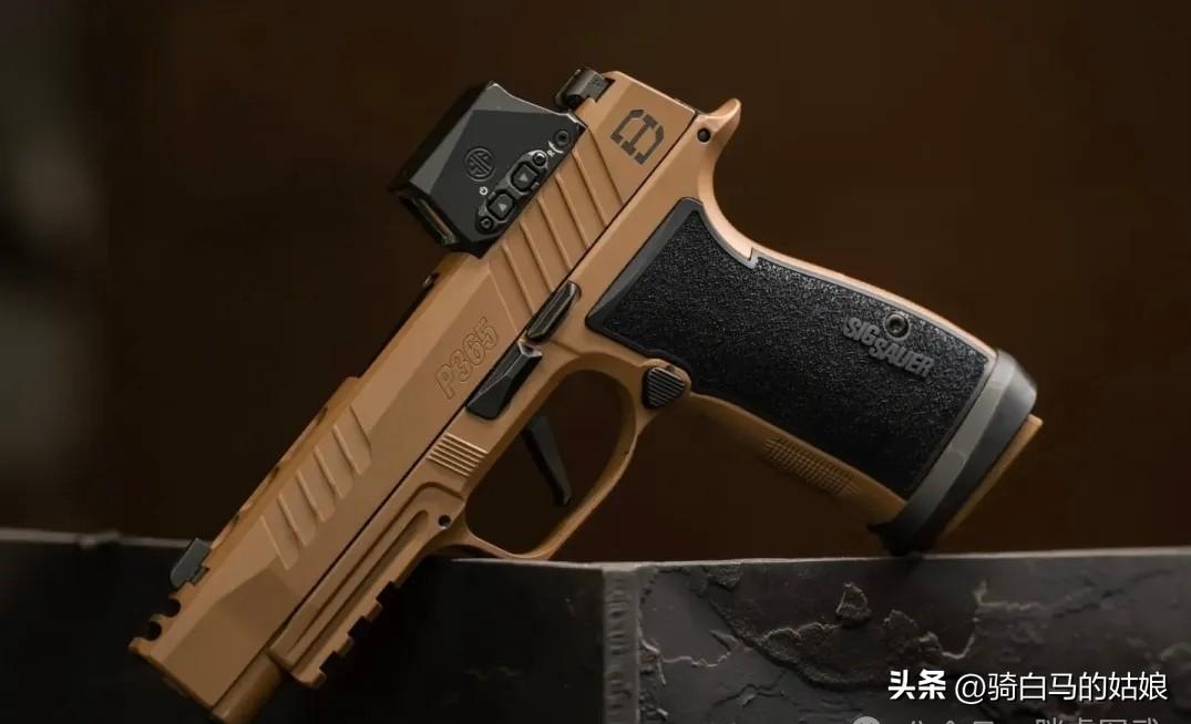 西格绍尔 P365
Olmi963