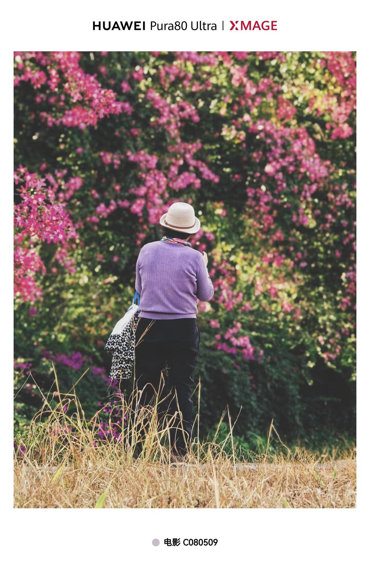 Pura 80ultra一镜双目下电影…【木棉季的观澜河，连老奶奶都坐不住啦！?