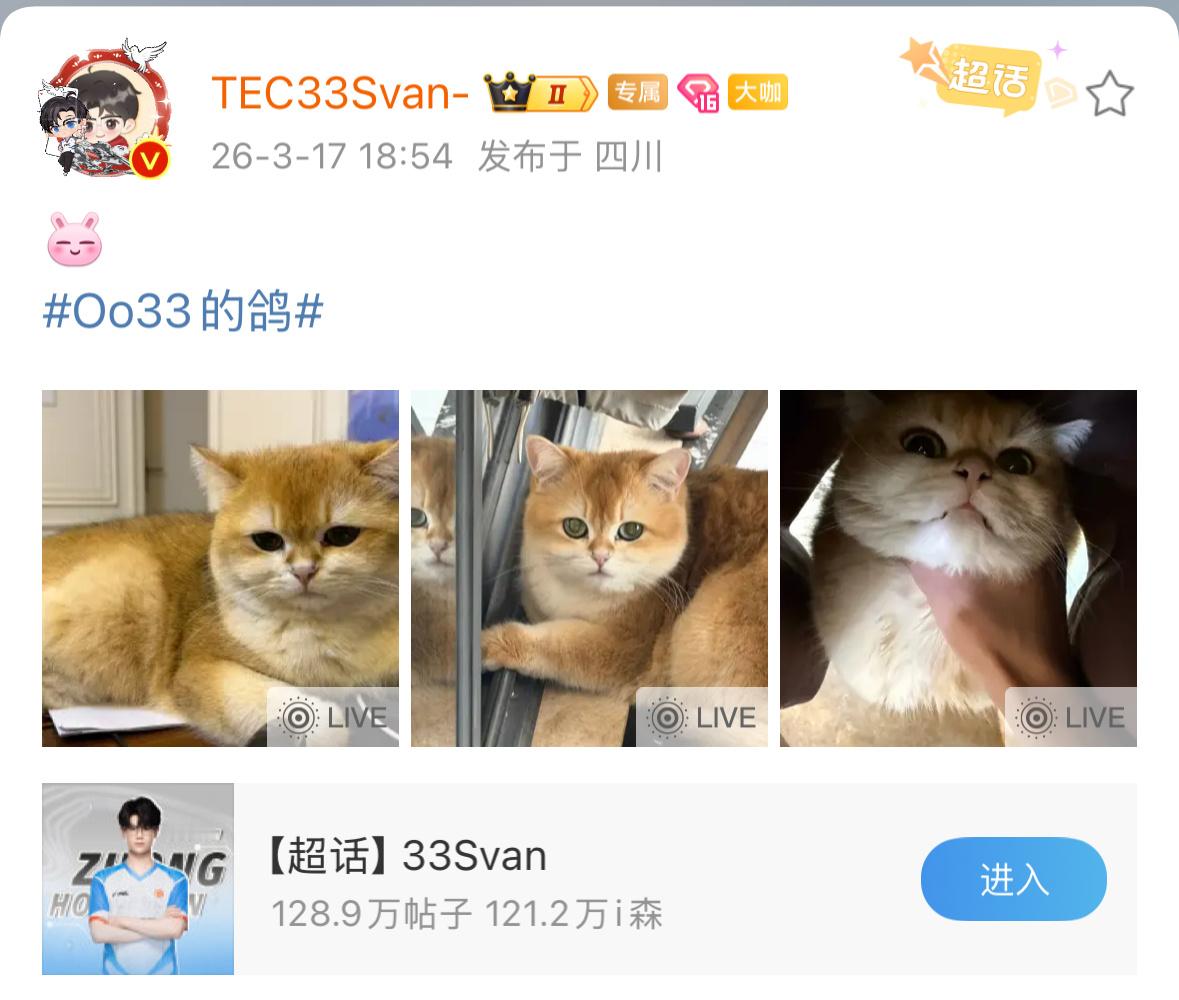 33Svan  呆呆这么可爱！2026pel春季赛2026pel