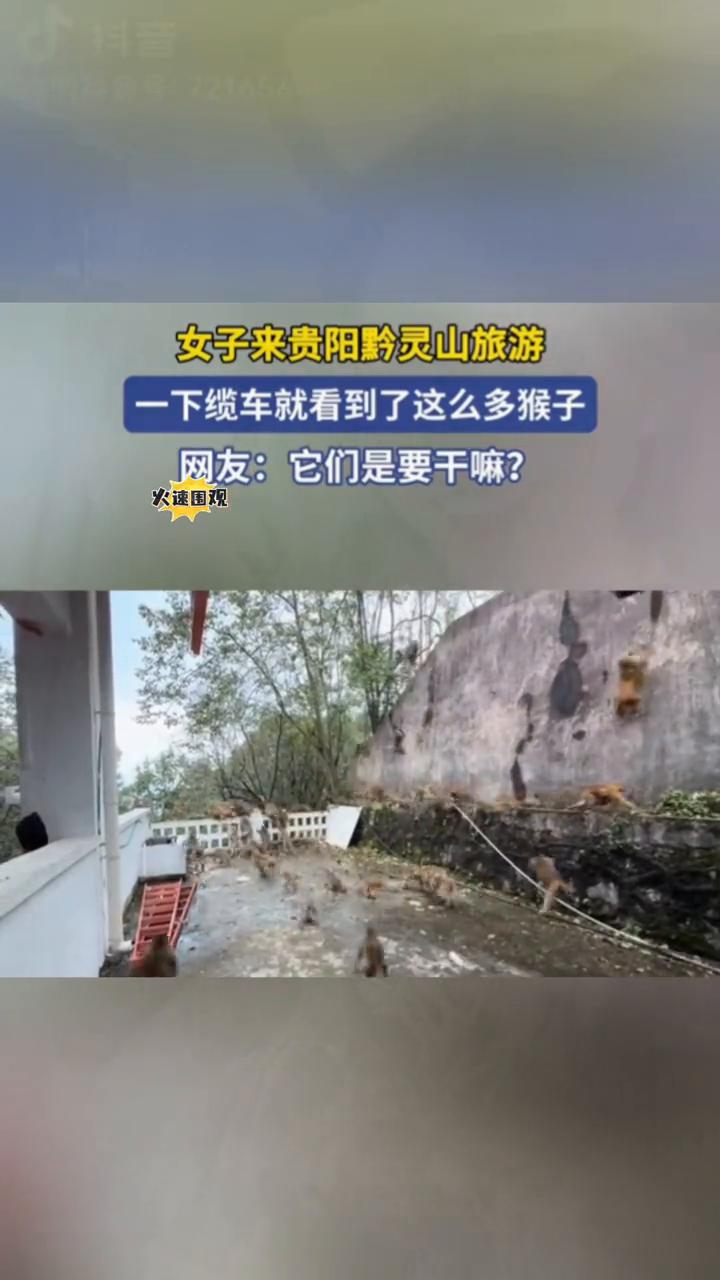 女子来贵阳黔灵山旅游，一下缆车就看到了这么多猴子。网友：它们是要干嘛？
火速围观