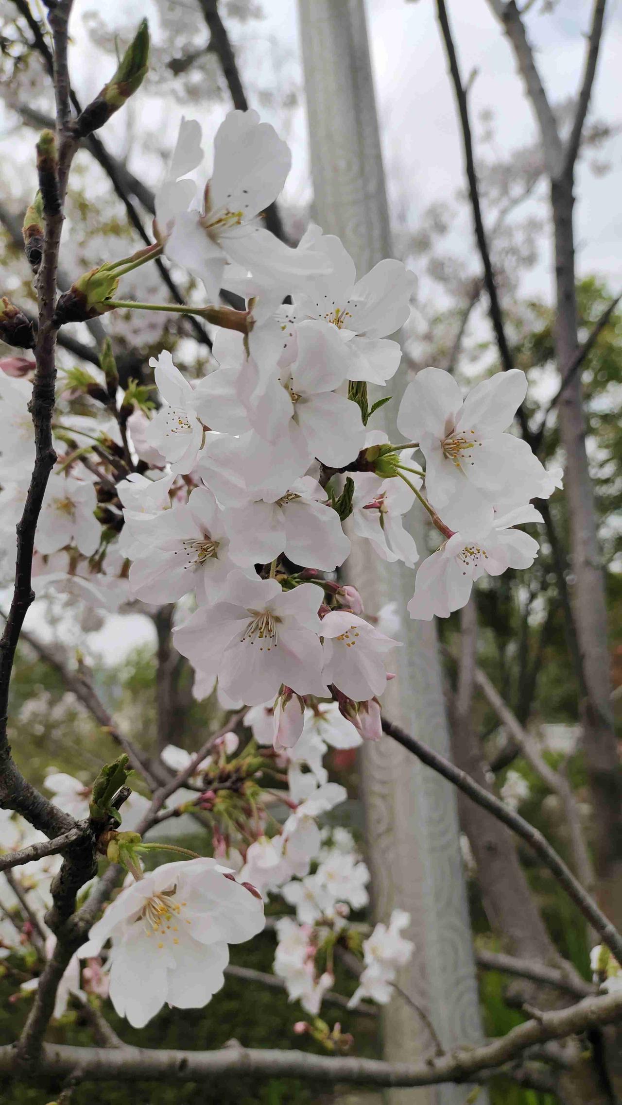 我的今日状态：😁轻松愉快
我这里的天气：☀️晴天