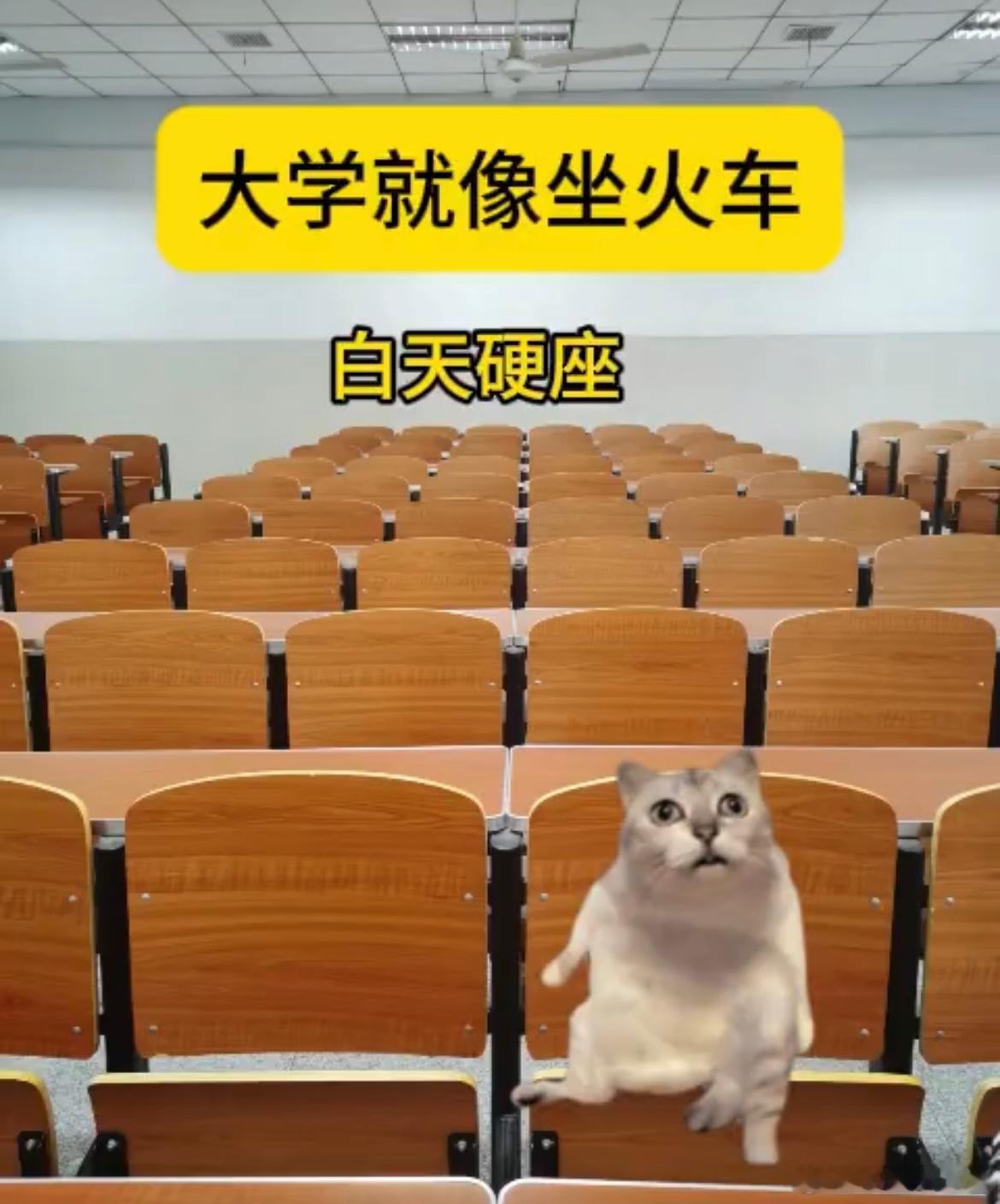 感觉上大学就像坐火车 校园共创计划 ​​​