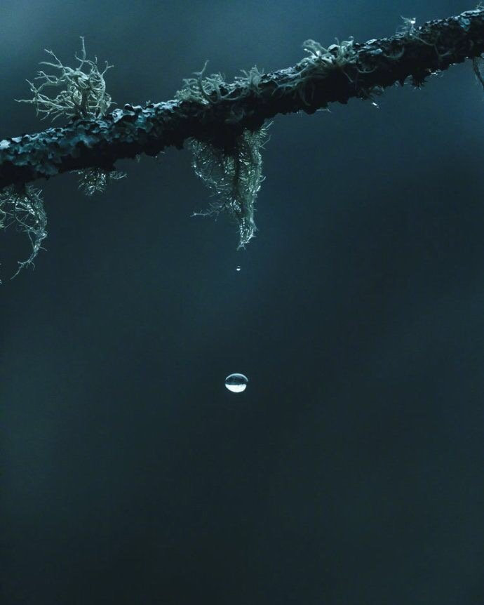 【每日书摘|“孤独的人有他们自己的泥沼。”——张爱玲专场】1.你年轻么？不要紧，