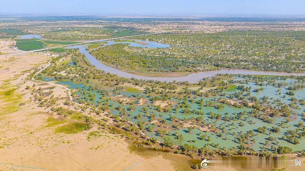 我国环绕塔克拉玛干沙漠的大规模植树造林，让曾经荒芜的沙漠边缘转变为“净碳汇”，这