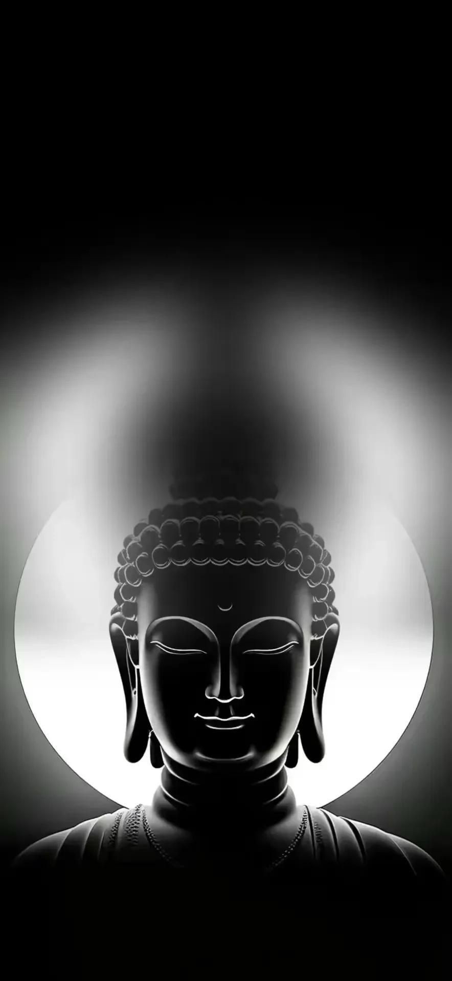 今天立秋，读到了白玉蟾的《立秋有感》
流年急似箭，日月跳如丸。
炎皇初解印，白帝