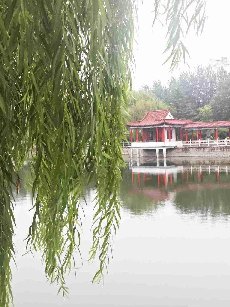 今天“JM”这边的气温25～31°C，体感温度竟然高达33°C。
看预报这一周内