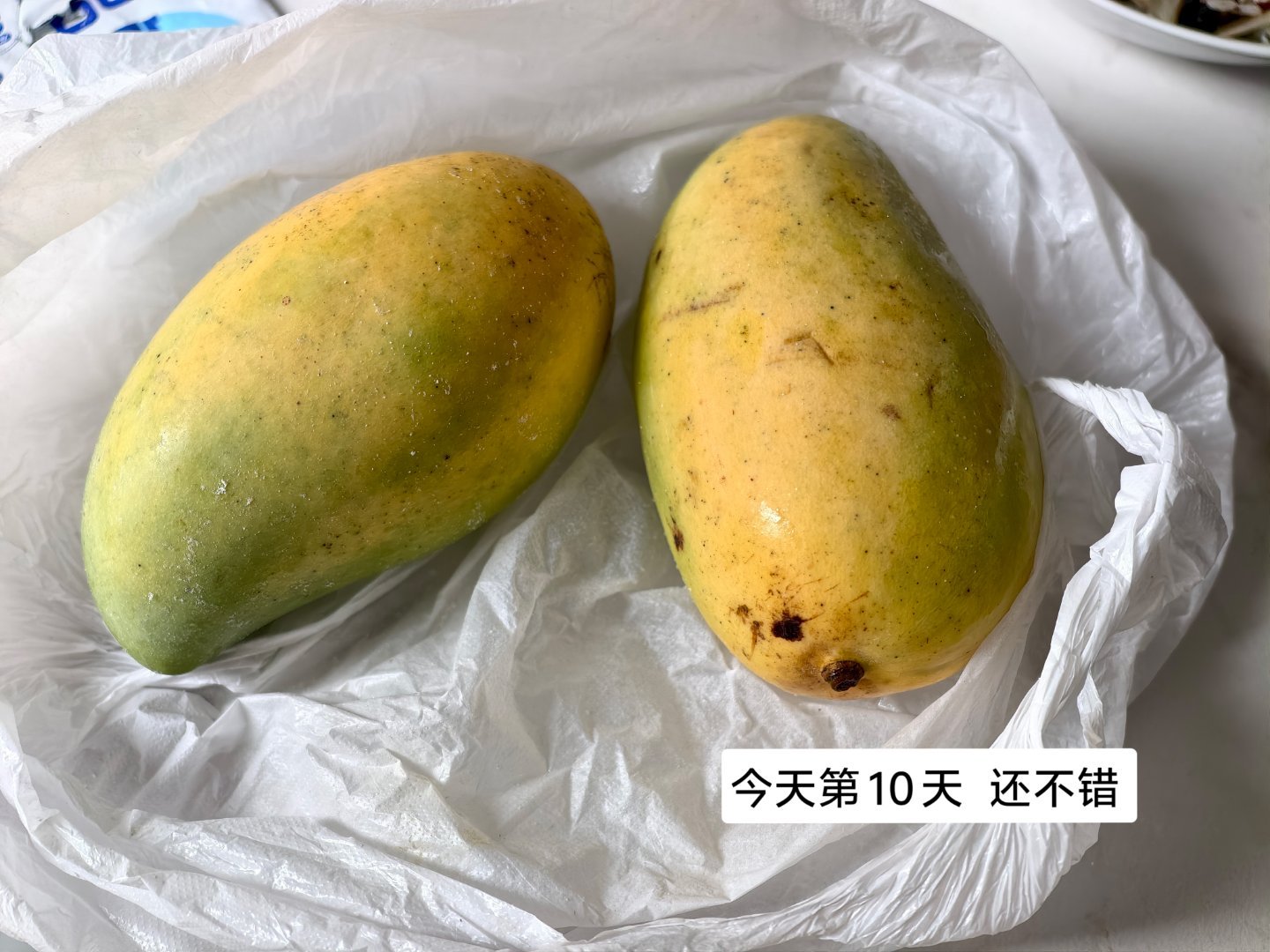 芒果半熟后放冰箱冷藏，能有效延长保质期。我喜欢吃稍微硬一点的芒果