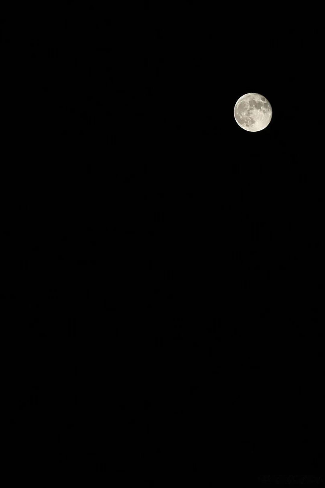 月上松篁.夜游唐模满月，提青丝引路灯月下过松篁推园门，亮灯，戏起……第一期完美收