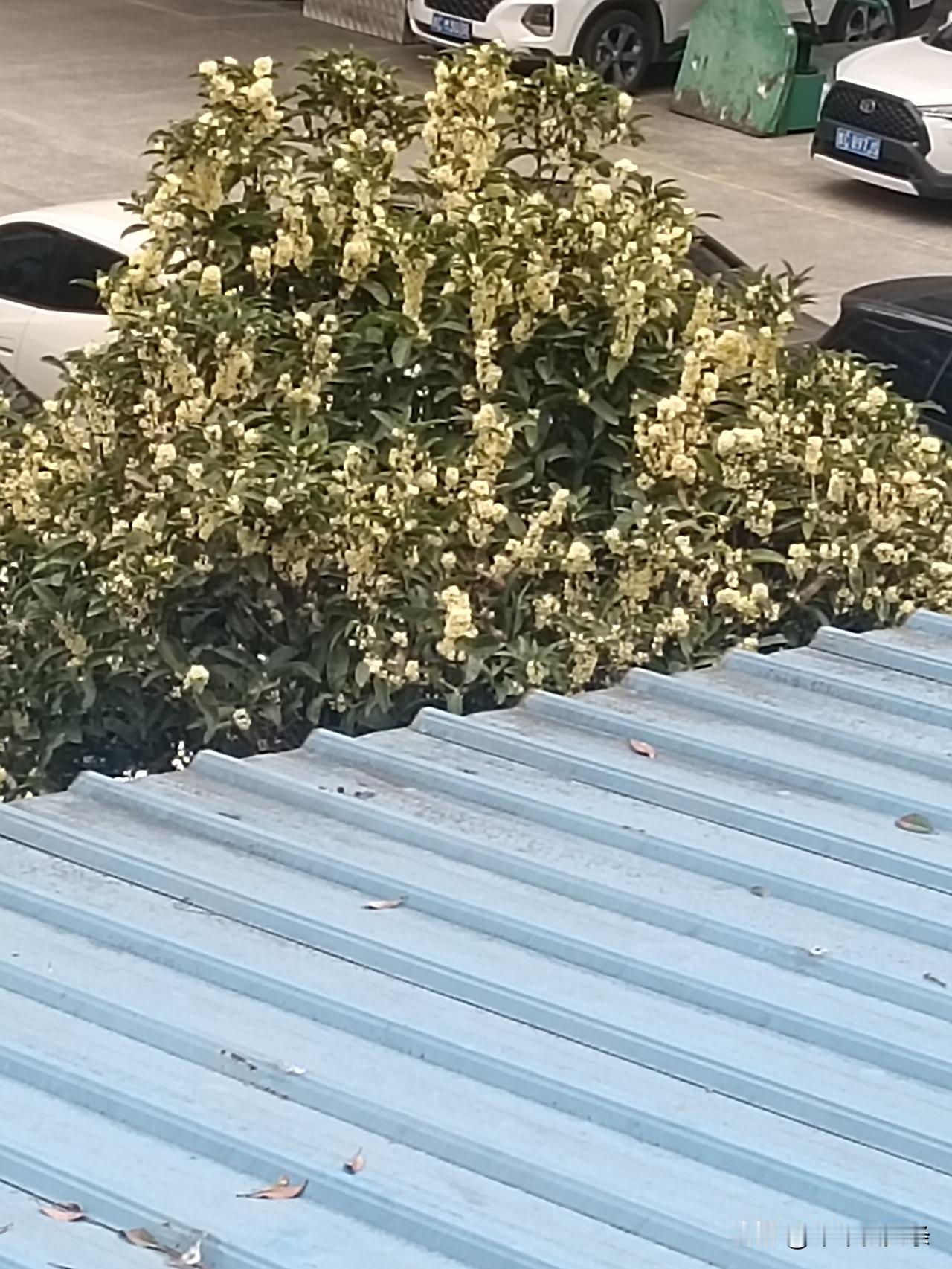 @豆包 帮我点评