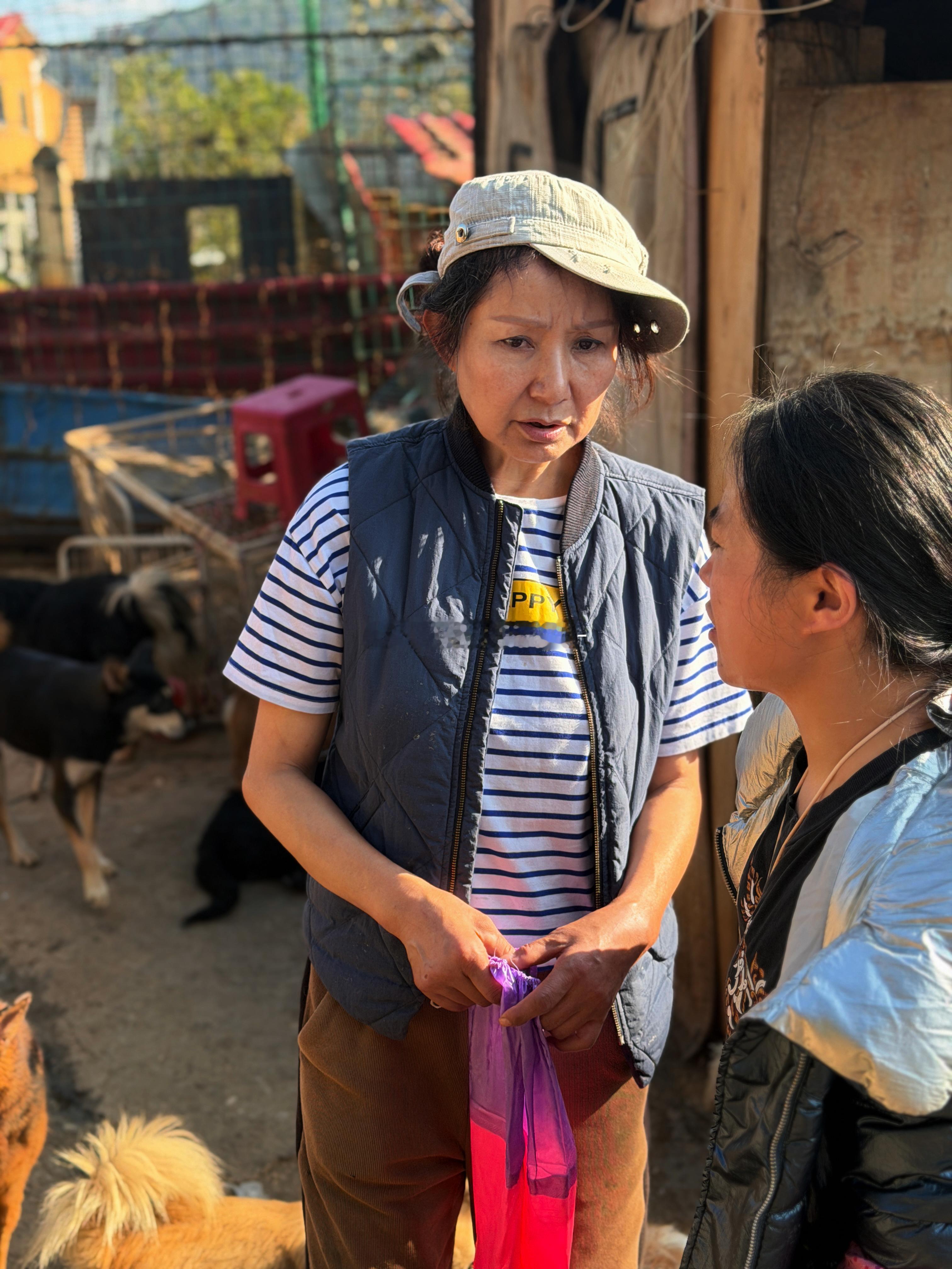 今天来佳姐的流浪小狗基地做义工和送物资 她身体不好  收养了500多只狗  每只