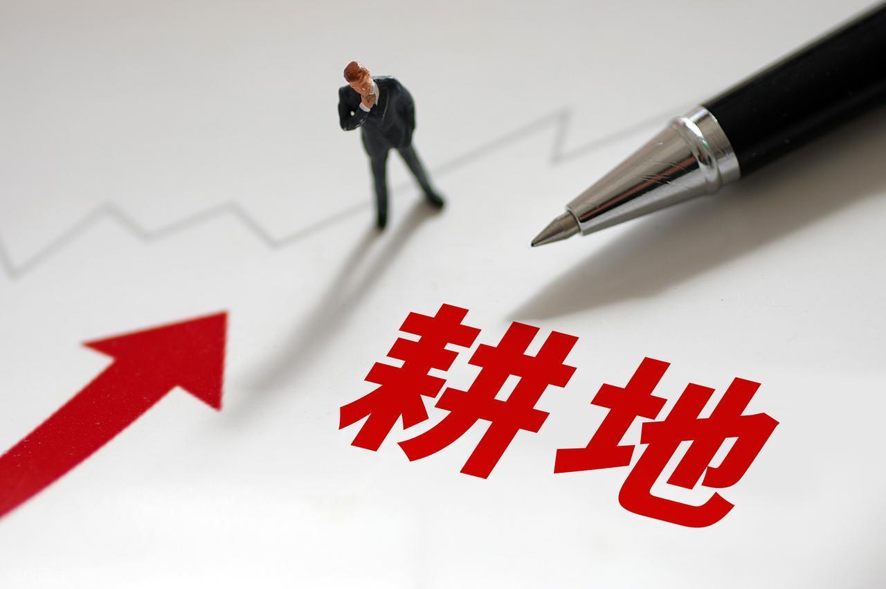 “挖地”比“种地”挣钱？农民挖沙取土获利46万坚称