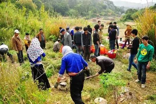 为什么清明节要在坟前培土添新？一个简单的动作背后有何深意？
一、清明节的习俗与培