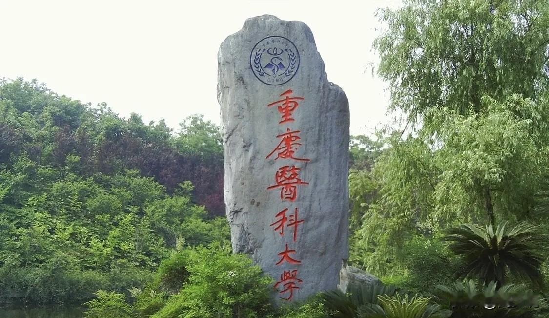 “真想不通哪里出了问题！”一位妈妈吐槽：女儿高考648分，顺利考入重庆医科大学，