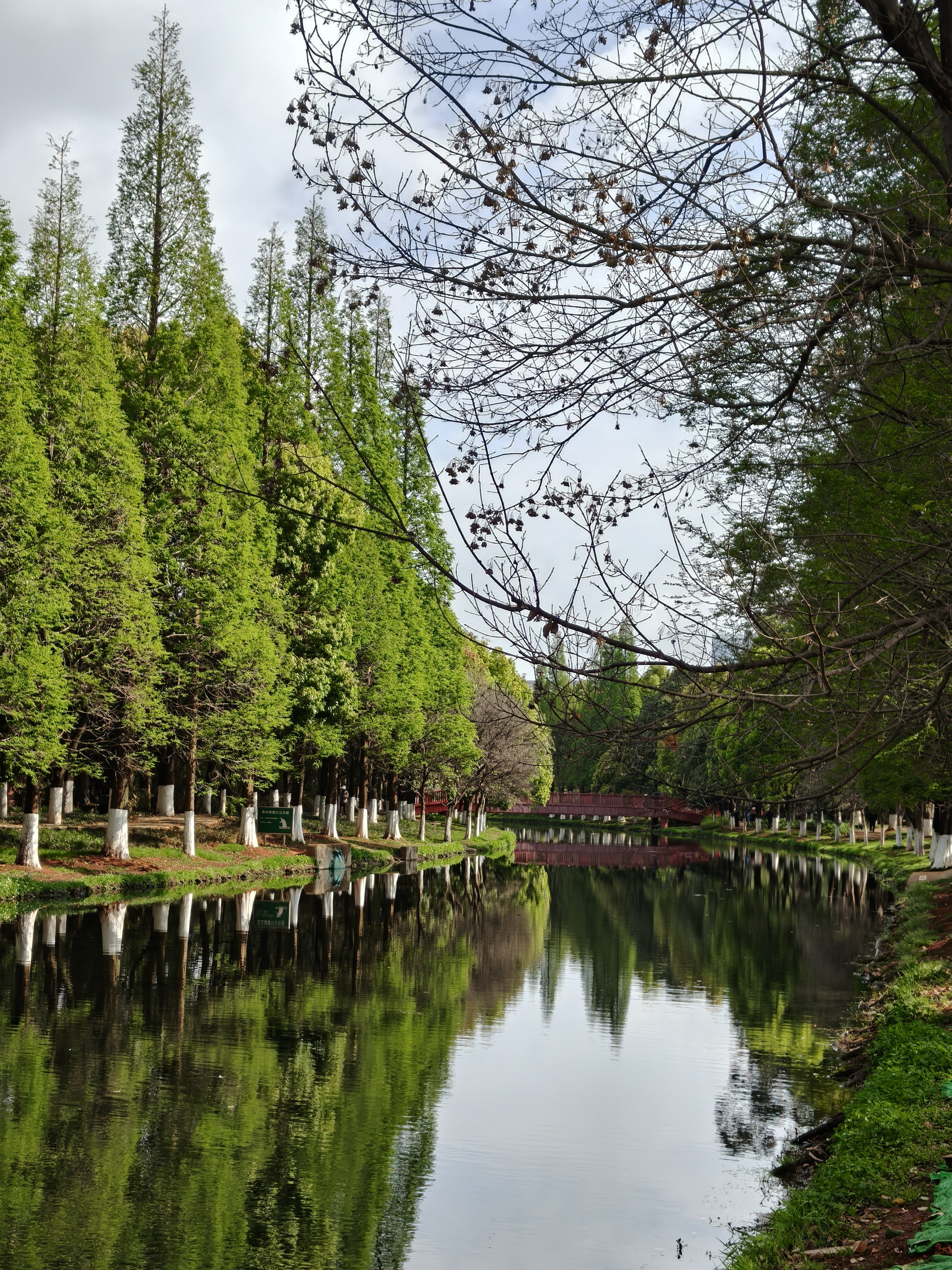 挺久没开偷狗车型了，雨过天晴，这个景色看着生活就太如意了