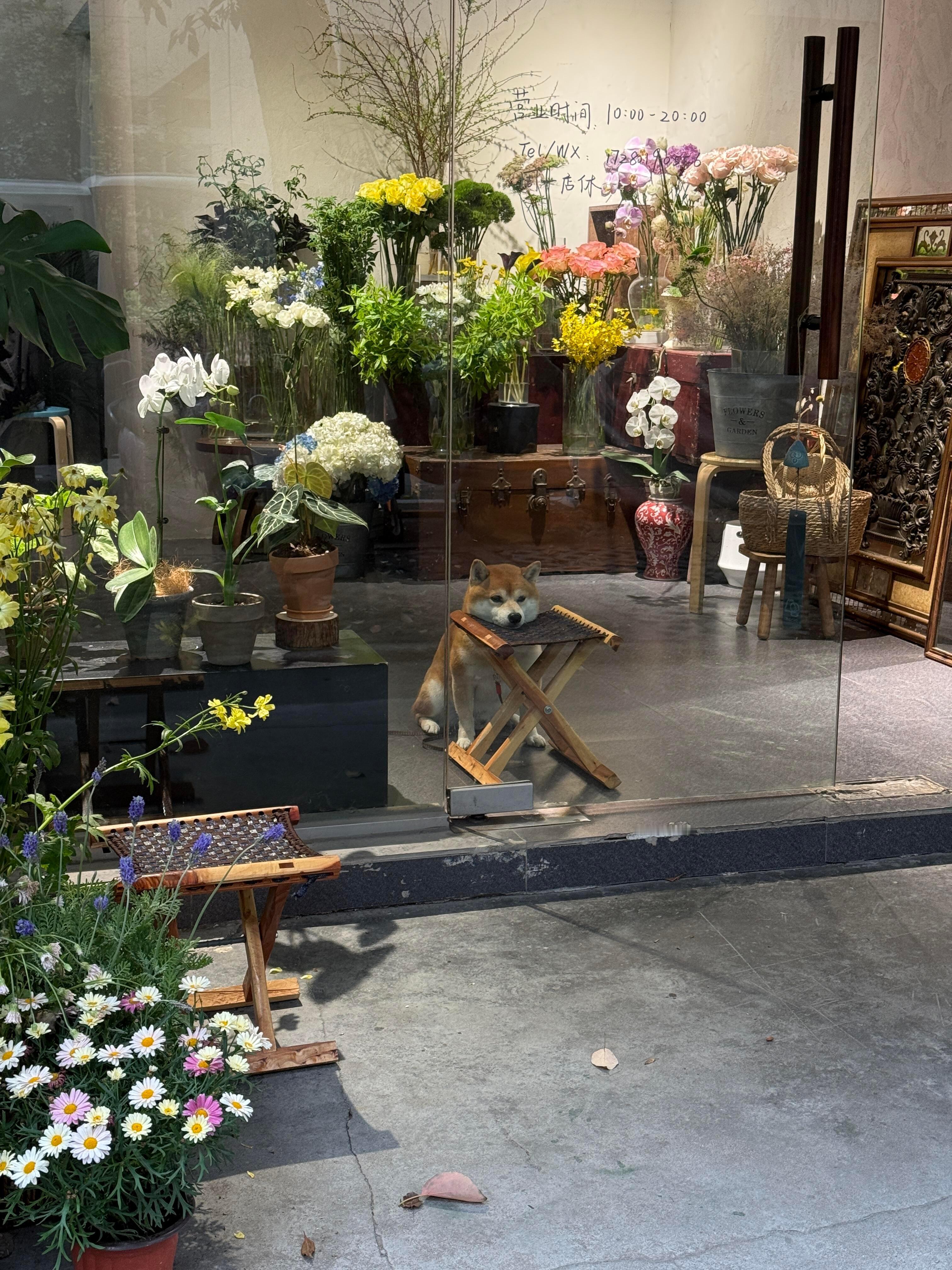 下雨天一个客人也没有🙁 