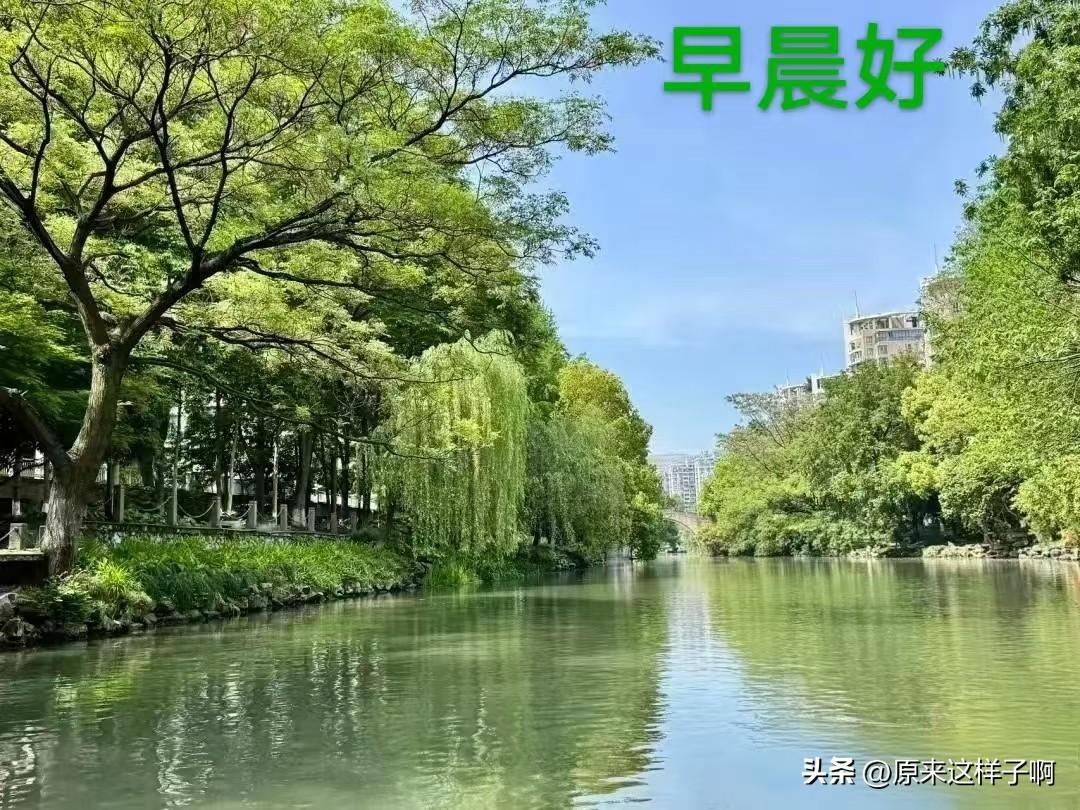 晨曦中的静谧河岸，绿意盎然，美好一天的开始。🌿🌞