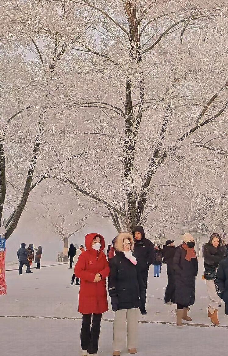 分享一张最近随手拍的照片随手拍～