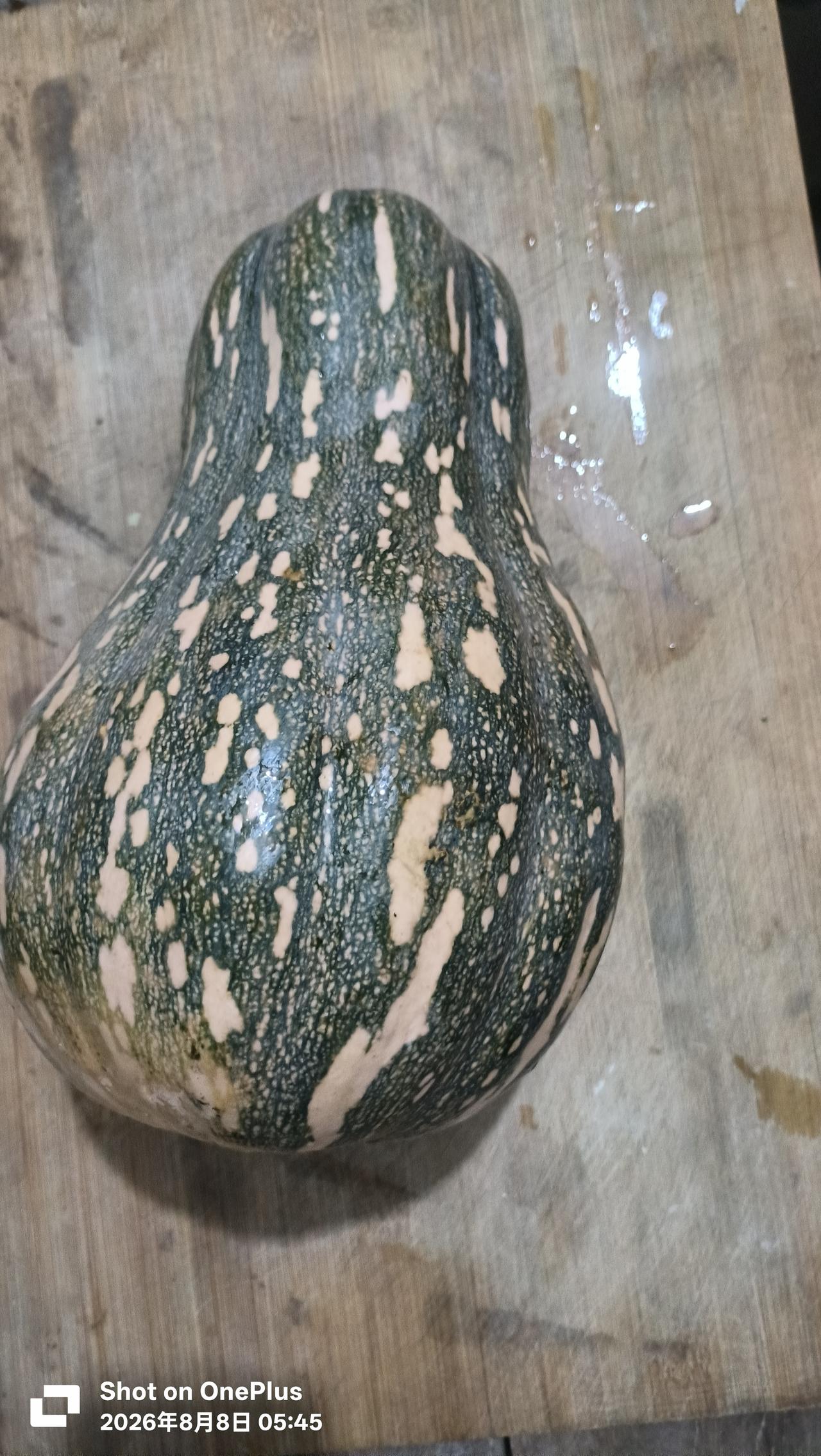 不同品种的南瓜营养价值有区别吗?不同南瓜品种营养价值差别
 
整体营养框架大体一