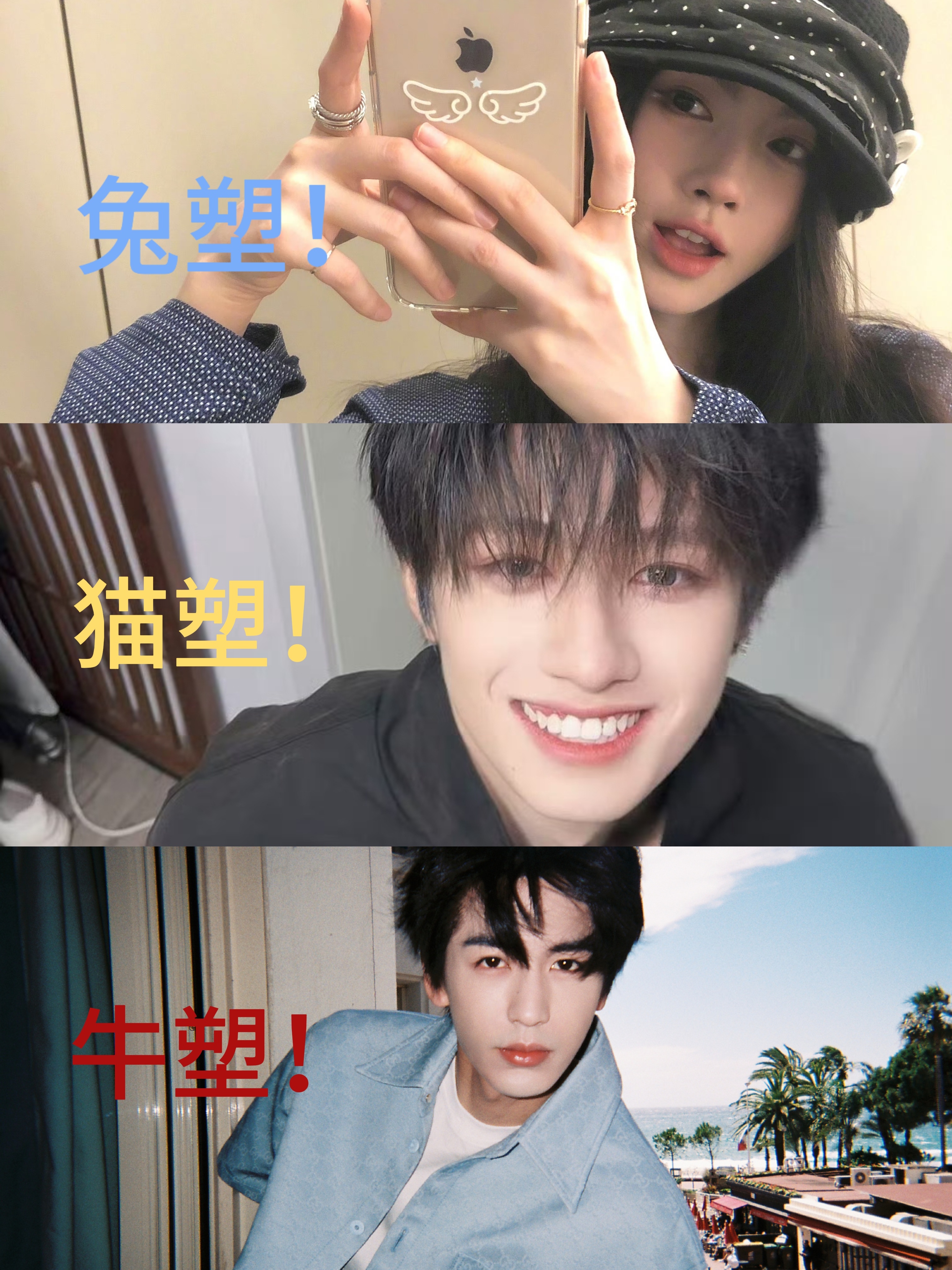 我的兔小姐 猫老大 牛二傻 
