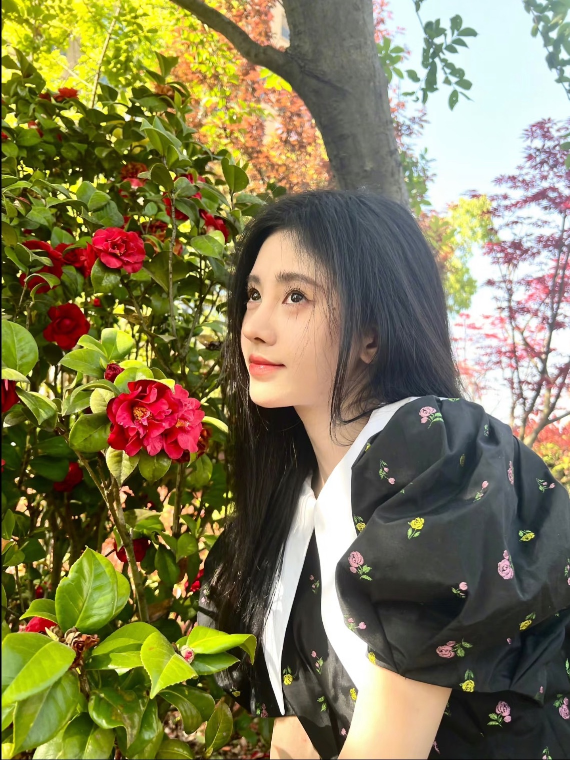 提前存一些女明星春天和花拍照姿势💐 