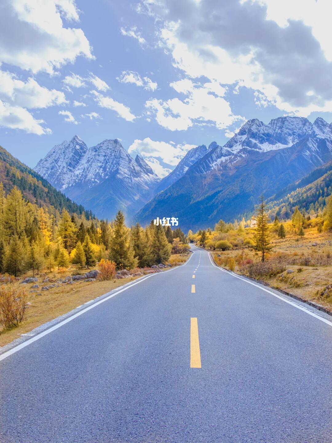 不是禾木去不起❗️❗️而是四姑娘山更有性价比