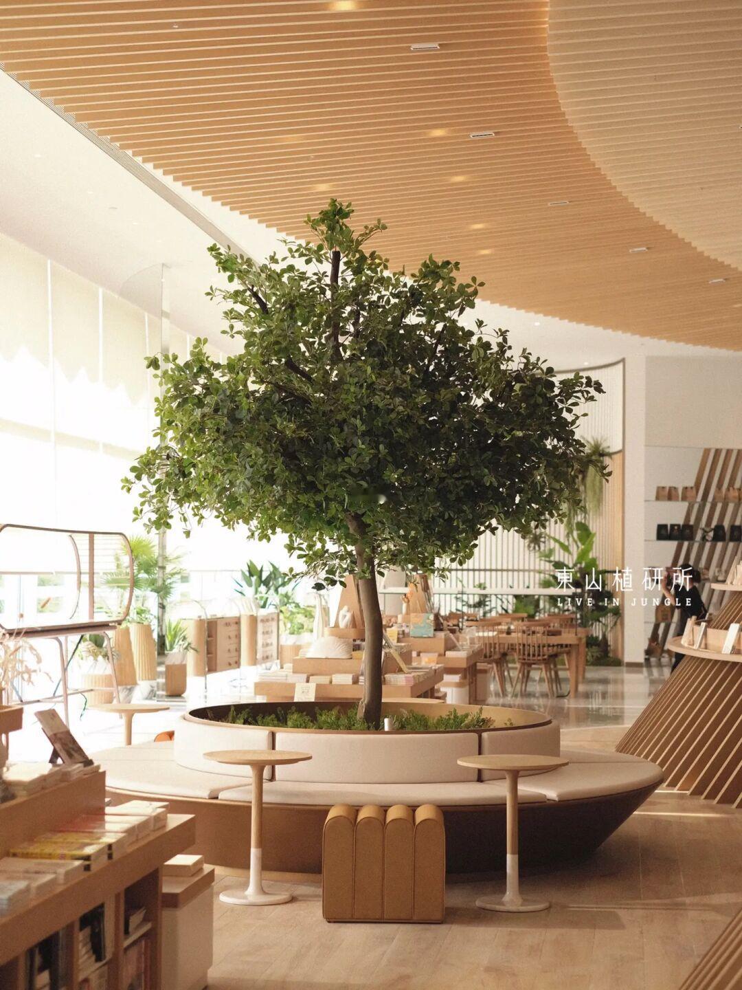 植物布置｜绿植+卡座变身树下氛围空间🌳