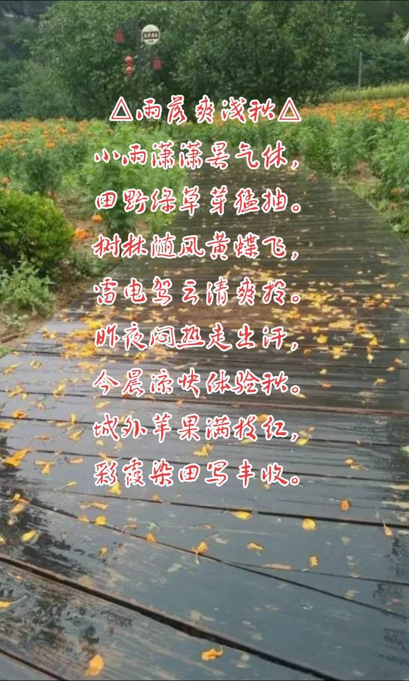 雨落爽浅秋